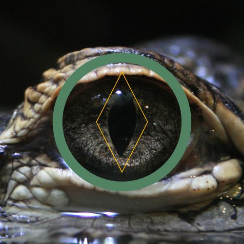 Ichthyologist